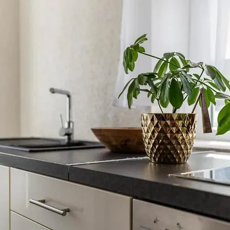 Appartio - Zentrale Maisonette-wohnung Mitten In Der Altstadt * Worms